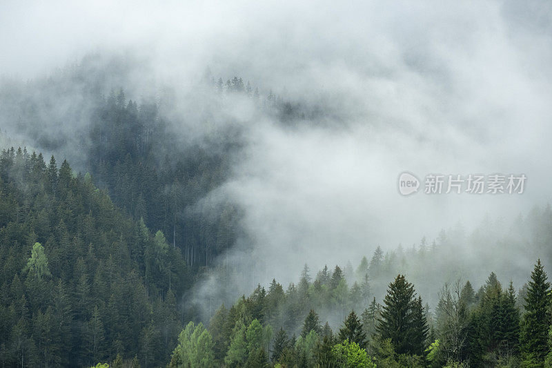 春天在Zgornje Jezersko山谷森林上空的云层